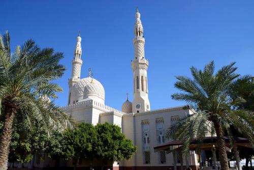Al Badar Travel