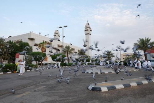 Al Badar Travel